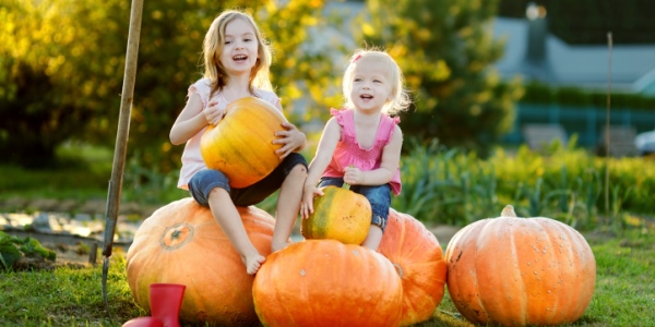 Pumpkin Patch Parable Archives - FaithGateway photograph regarding Pumpkin Patch Parable Printable identified as Pumpkin Patch Parable Archives - FaithGateway