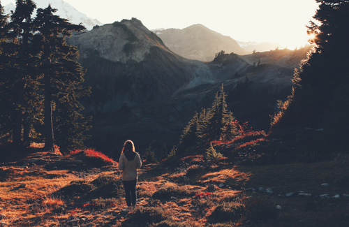 The Theology of Wholeness | Touré Roberts.