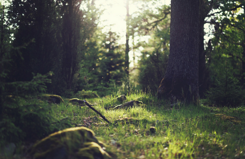 Turn The Other Cheek Archives Faithgateway