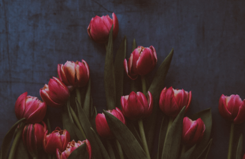 Anger at others can set the whole world on fire. As we’ve seen, it can cause more damage than anyone could have imagined. As Christians, we have to put down our pride and love as we are loved. God will redeem for us what He will redeem!