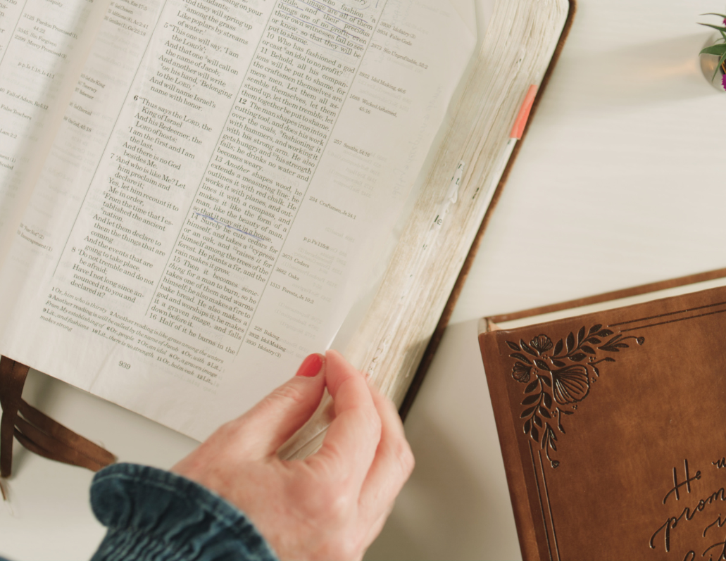 margaret-feinberg-bible