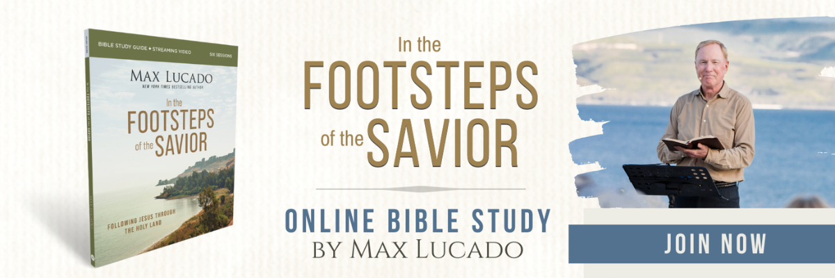 in the footsteps of the savior web banner