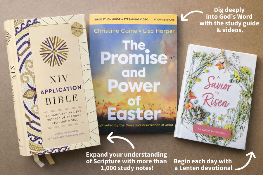 the promise and power of easter study bundle