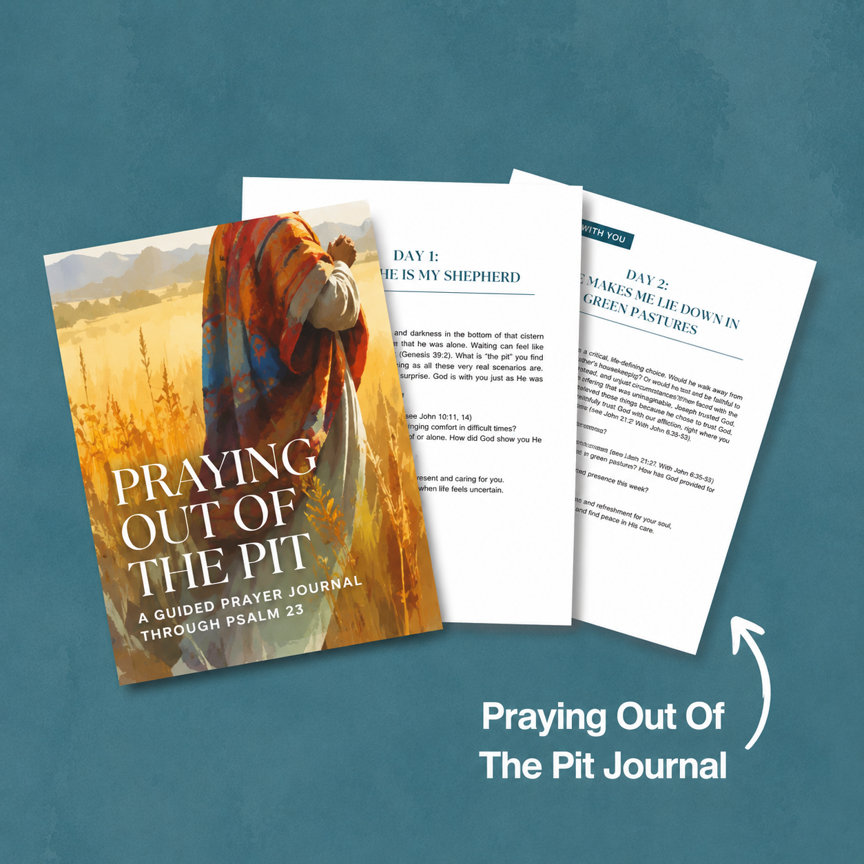 Praying Out of the Pit Prayer Journal