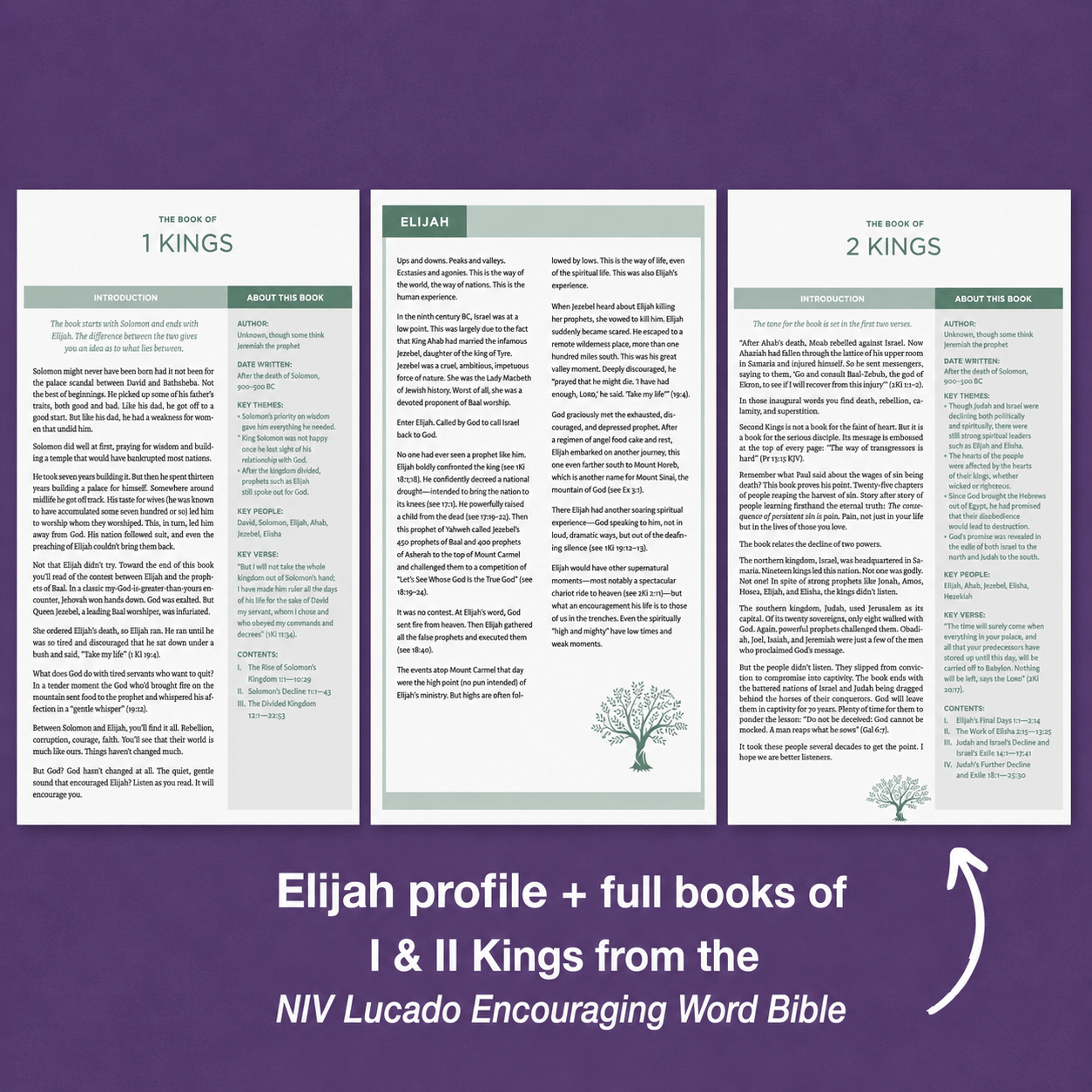elijah profile and I and II Kings 